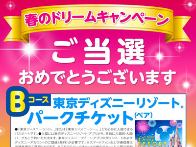 東京ディズニーリゾートペアチケット